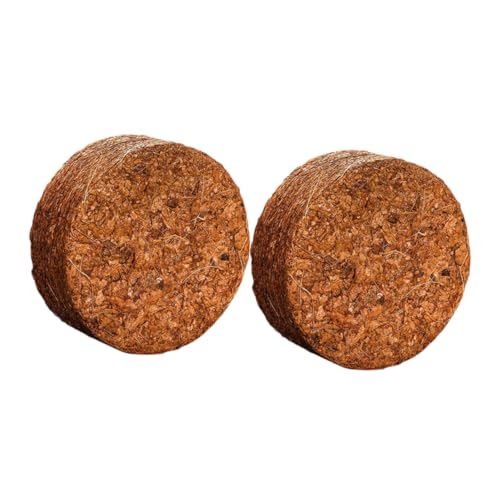 BRIGHTFUFU 5 fh{y kRRibct@Co[y ې ʋC |p|{y A n[u  ؂̎O͔|