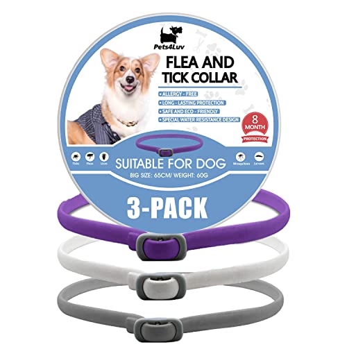 Pets4Luv Collar antipulgas para Perros, Collares Naturales contra pulgas y garrapatas para...