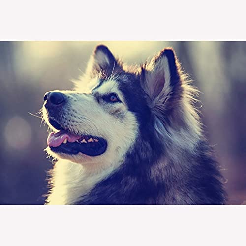 Peinture diamant 5D chien 80x180cm, kit broderie grand format full drill