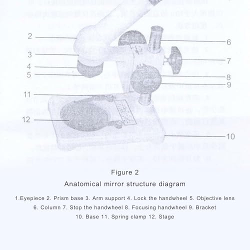 Microscope d'anatomie 20x en métal pour laboratoire