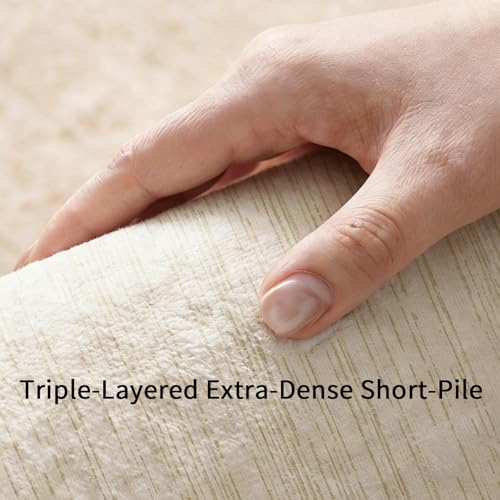 Tapis salon rectangulaire lavable machine et adapté aux animaux