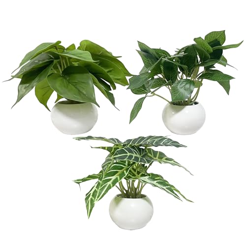 WillingYou フェイクグリーン 卓上 3点セット 鉢付き 人工 観葉植物 おしゃれ インテリア雑貨 世話いらず 水やり不要 オフィス ホームデコレーション ギフト向け 結婚式 新築祝い 母の日 父の日ギフト フェイク グリーン (グリーン)