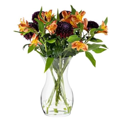 TREND FOR HOME 25 cm Glass Vase for Flowers Cover
