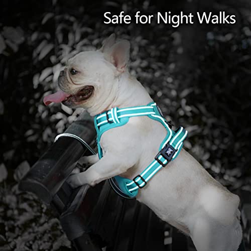 Image of PoyPet No Pull Dog Harness, No Choke Reflective Dog Vest, Adjustable Pet Harnesses with Easy Control Padded Handle for Small Medium Large Dogs(Mint Blue Matching Trim,S)