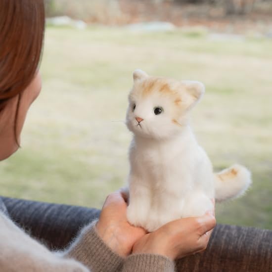 Amazon.co.jp: デジレクト あまえんぼう子ねこちゃんmini 茶トラ 50