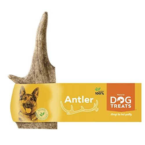 Natural Dog Treats – Corna di Daino 100% Naturale per Cani Piccoli, Osso Masticativo Ecologico e Durevole per la Cura dei Denti – Taglia S