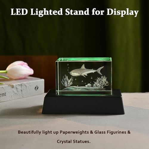 Image of IFOLAINA LED Light Base Multicolor Rectangle Display Stand for Crystal Art Lighted Up Pedestal Color Changing Small LED Base for 3D Glass Home Holiday Party Decor