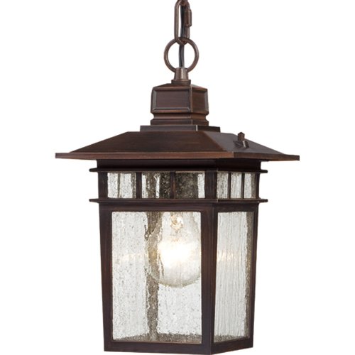 Image of Nuvo Lighting 60 /4955 Traditional One Light Hanging Lantern from Cove Neck collection in Bronze /Dark finish