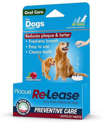 Ramard Plaque Re-Lease - v[NpE_[t̎ȃPALbgA܁AΏ-NȎŝ߂̍yfI-邢ΊƐVNȑ̂߂̏b㏳Fybgpi