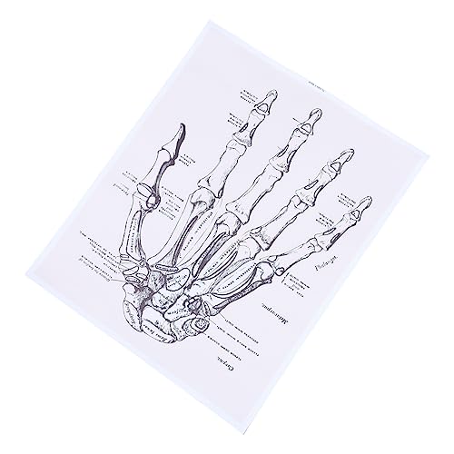OSOLADY 1pc Human Anatomy Decor Human Wall Art Hand Anatomy Chart Picture of Anatomy of Body Anatomy Teaching Chart Human Skeleton Chart Human Hand Anatomy Poster Chemical Fiber Canvas