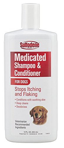 Sulfodene Medicated Shampoo 12 oz - Pack of 3