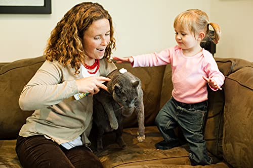 Earthbath All Natural Hypo-Allergenic Cat Grooming Foam - For Cats & Kittens, With Organic Fair Trade Shea Butter, No Water Needed, Rub On & Towel Off, Made In Usa - 4 Fl Oz #TOP3