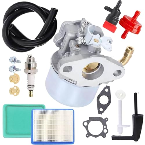 Ewillownm Compatible avec Le carburateur 215369 pour Briggs Stratton 696065 215434 697422 214706 214706T 798654 792970 12211 Intek 190 Moteur 850 série 6,75...