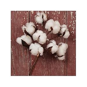 The Country House Collection Cotton Boll Floral Spray Bunch (10") The Country House Collection Cotton Boll Floral Spray Bunch 10