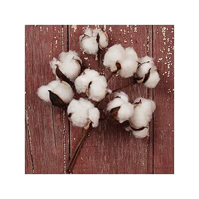 The-Country-House-Collection-Cotton-Boll-Floral-Spray-Bunch-10 The Country House Collection Cotton Boll Floral Spray Bunch 10