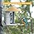 FOUKWAKC Smart Bird Feeder with Camera, AI Identify Bird Species, Solar-Powered Birds Watching Camera, Auto Capture Videos, Motion Detection, Instant Notifications, Ideal Gifts for Birds Lover