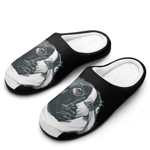 [STEBVI] Xbp  Aj  {XgeA [V[Y  nEXXbp  Y fB[X  ~ g 􂦂 qp p jp v[g