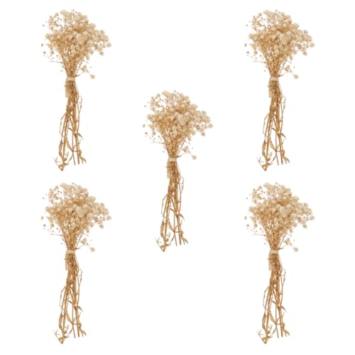 5pcs flores secas naturales para decoración miniatura 1