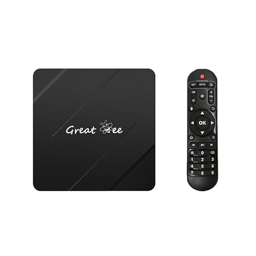 Great Bee Arabic TV Box Free for Life Set top Box Android 10 2G 16G Wireless 5G Lebanese Smart TV Box