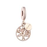 Compatible avec les bracelets Pandora. 