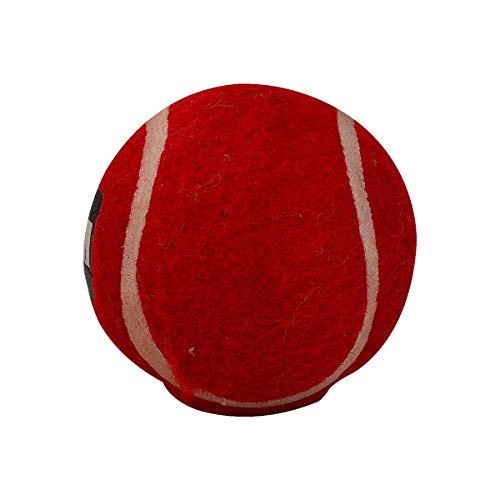 Image of GM First Lite Synthetic Tennis Cricket Balls (Red)