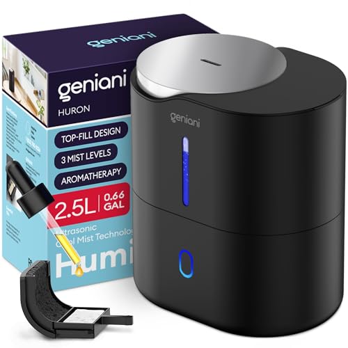 Can You Put Essential Oils to a Humidifier? 3 Important Keys