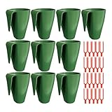 Propagation de fraises portable : design léger et compact permettant un transport et une manipulation faciles pour cultiver des fraises à racines nues à l'intérieur ou à l'extérieur, ce qui le rend idéal pour les rebords de fenêtre, les balcons, les cours et les petits jardins