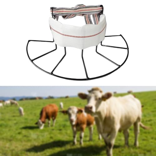 Outils pour la gestion en élevage de 23cm de long pour le bétail