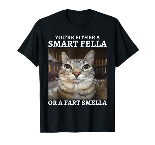 You're Either a Smart Fella or a Fart Smella Funny Cat Meme T-Shirt