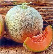 Seedscare India Nirupama Imported Muskmelon Quality Seeds - (Pack of 20 ) (B01GJVFNUU) Amazon Price History, Amazon Price Tracker