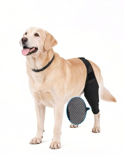 Dog Rear Leg Sleeve to Prevent Licking - Reusable Dog Surgery Recovery Suit with Adjustable Velcro Breathable Comfortable Recovery Sleeve for Hot Spots & Wounds Cone Alternative (L Size)