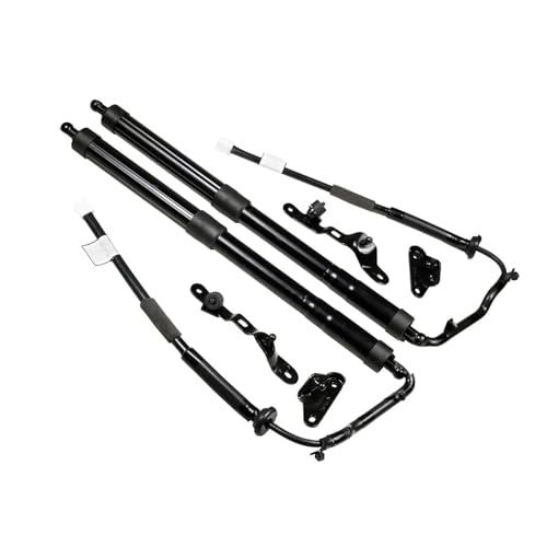 Vérins à gaz de hayon électrique pour Toyota RAV4 2013-2018 coffre 6892009010