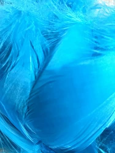 Zebra Balloons Mixed Pastel Feathers, 100 Pack
