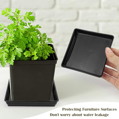 LNQ LUNIQI Square Plant Pot Coasters, Pack of 12 Plastic Plant Saucers, Black Plant Saucers, Flower Coasters - Image 4