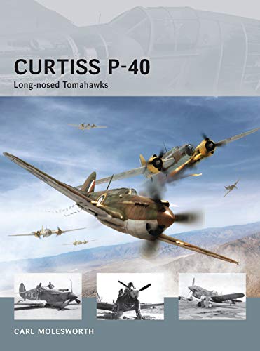 Curtiss P-40 view 2
