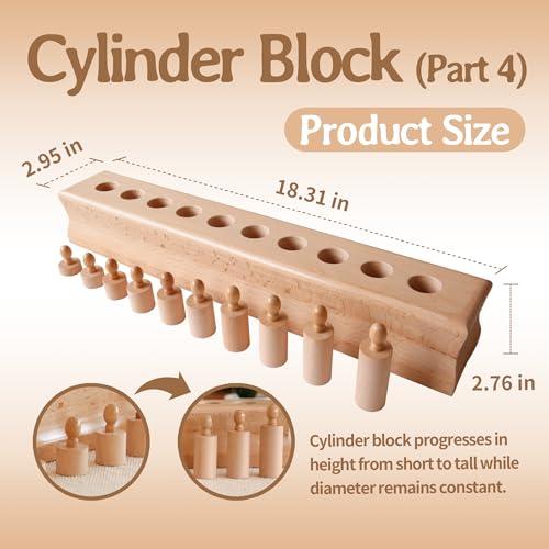 Image of MONTESSORI OUTLET Cylinder Block (Part 4) for Children Aged 3-6 Montessori Education at School and Home