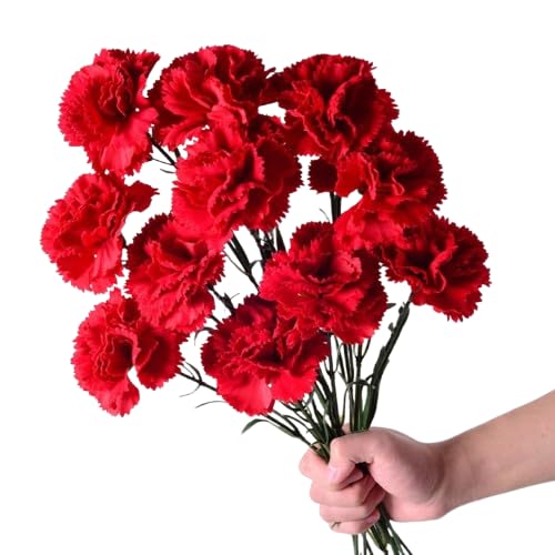 DECOALIVE | Ramo Clavel Rojo l | Bouquet 50 Flores | Claveles Rojos Naturales y Frescos