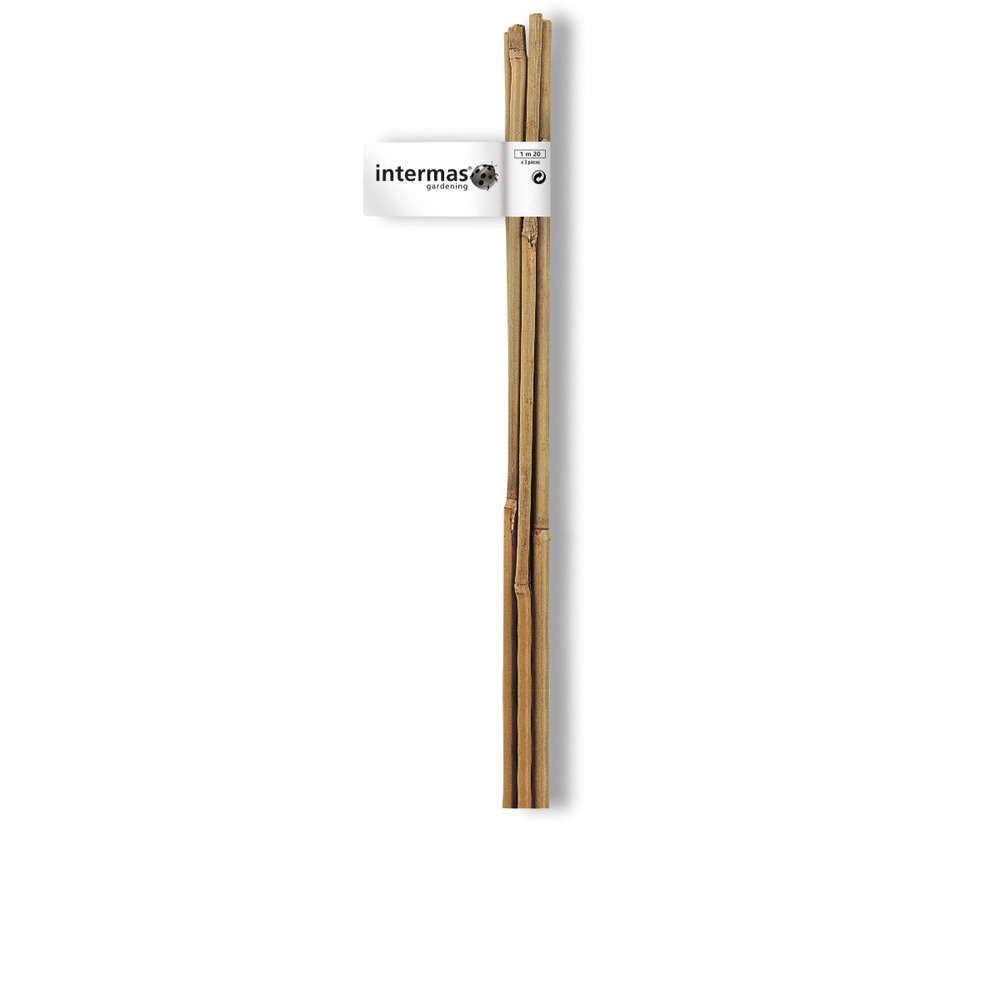 Intermas - Tutor bambú Natural 2.10 cms Pack 1