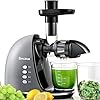 BRECIOUS Cold Press Juicer Machines,Slow Masticating Juicer Small Feed Chute Machine with Reverse Function, 2 Speed Modes&Quiet Motor High Juice Yield(Silver)