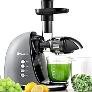 BRECIOUS Cold Press Juicer Machines,Slow Masticating Juicer Small Feed Chute Machine with Reverse Function, 2 Speed Modes&Quiet Motor High Juice Yield(Silver)