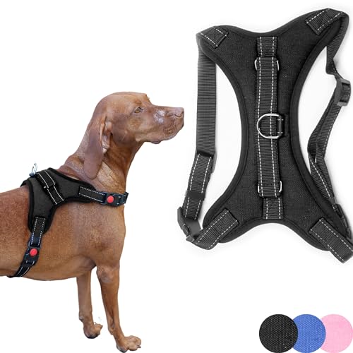 pets kong dog harness