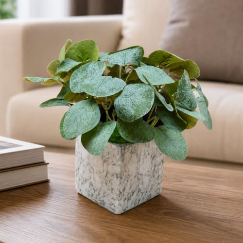 Image of fancymart Artificial Plant with Real-Touch Leaves in Pot, 25 cm, Indoor Tabletop Item for Home Decor, Office, Living Room