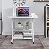 Amazon.com: Adjustable Height Mobile Computer Desk for Small Space ...
