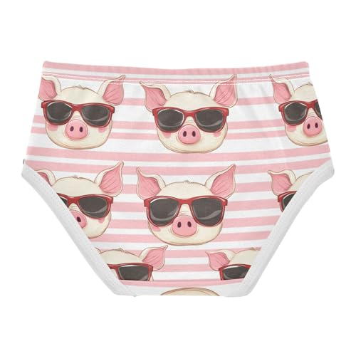 Wusikd Cute Pigs Girls' Underwear Cotton Pink Stripes Girls Briefs Soft Toddler Underwear 2T2