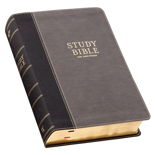 KJV Study Bible, Standard King James Version Holy Bible, Thumb Tabs, Ribbons, Vegan Leather, Gray/Black Two-Tone - image 1