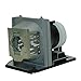 Optoma bl-fp260b Lamp for Optoma Projector with Housing