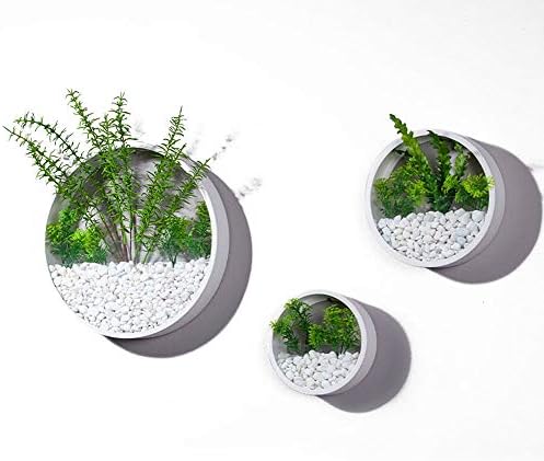 3 Pack Set Modern Wall Planters Succulent Planter Circle Metal Flower Pot Indoor Air Plant Vertical Container Hanging Vase Home Decoration Size S,M,L White, with 3 Artificial Succulent Plants