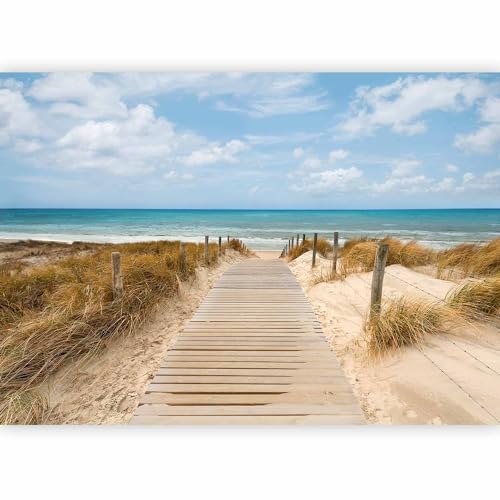 Fotomurales B&D XXL   Abstracto 400x280 cm XXL Papel pintado tejido no tejido Decoración de Pared decorativos Murales moderna Diseno Fotográfico paisaje naturaleza mar playa c a 0054 a c