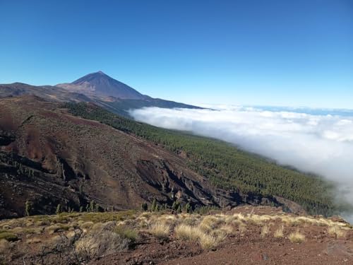 Binter promociona &ldquo;el modo canario de viajar&rdquo; con nuevas conexiones a&eacute;reas desde Sevilla
