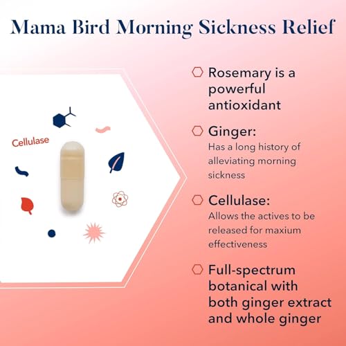 Best Nest Wellness Mama Bird Morning Sickness Relief Supplement, Nausea Relief for Pregnant Women with Full Spectrum Ginger for Dizziness + Motion Sickness, Pregnancy Morning Sickness Relief, 60 Ct